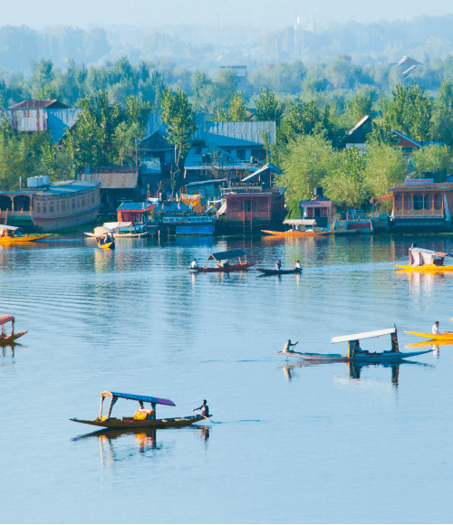 Dal-lake